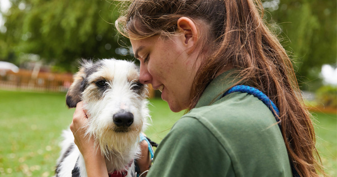 Should I rehome my dog Woodgreen Pets Charity